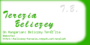 terezia beliczey business card